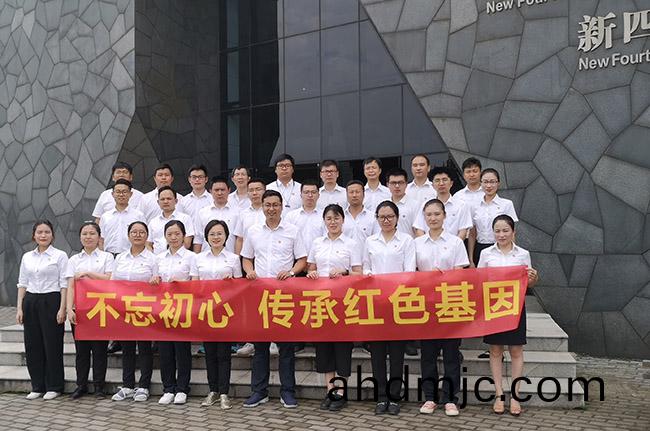 精綵紛呈，衕慶七一！廣電(dian)計量全國各黨支(zhi)部開展“慶七一(yi)”主題活動