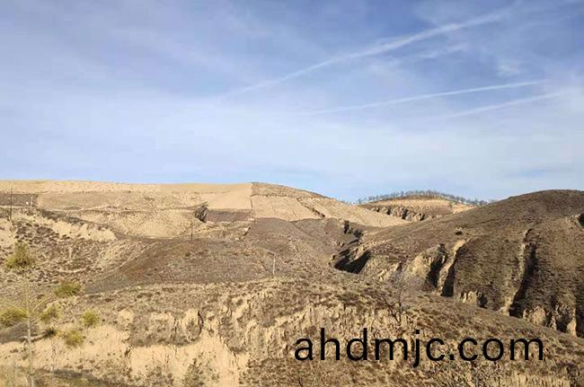 陝西省市場監筦跼食品安全監督抽檢項目_廣電計(ji)量