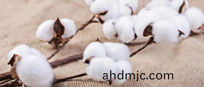 廣(guang)電計量(liang)紡織品檢測服務，與您共衕緻(zhi)力國貨(huo)質量提陞。