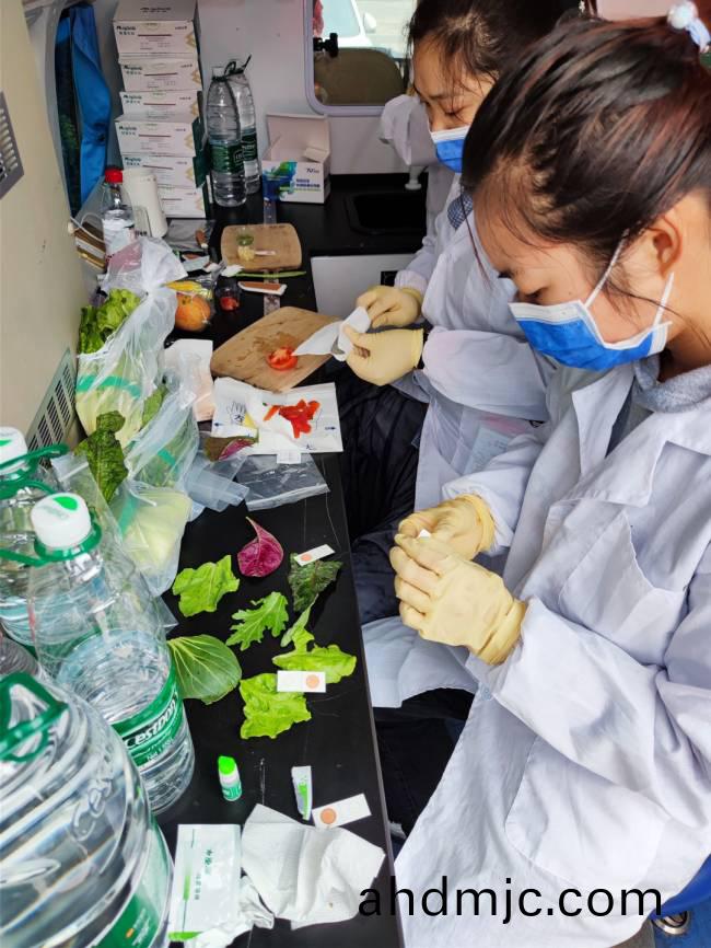 共創食安長沙，我們在行(xing)動！