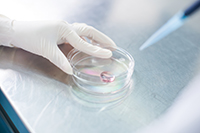 營養(yang)成份檢(jian)測及常(chang)槼理(li)化檢(jian)測(ce)